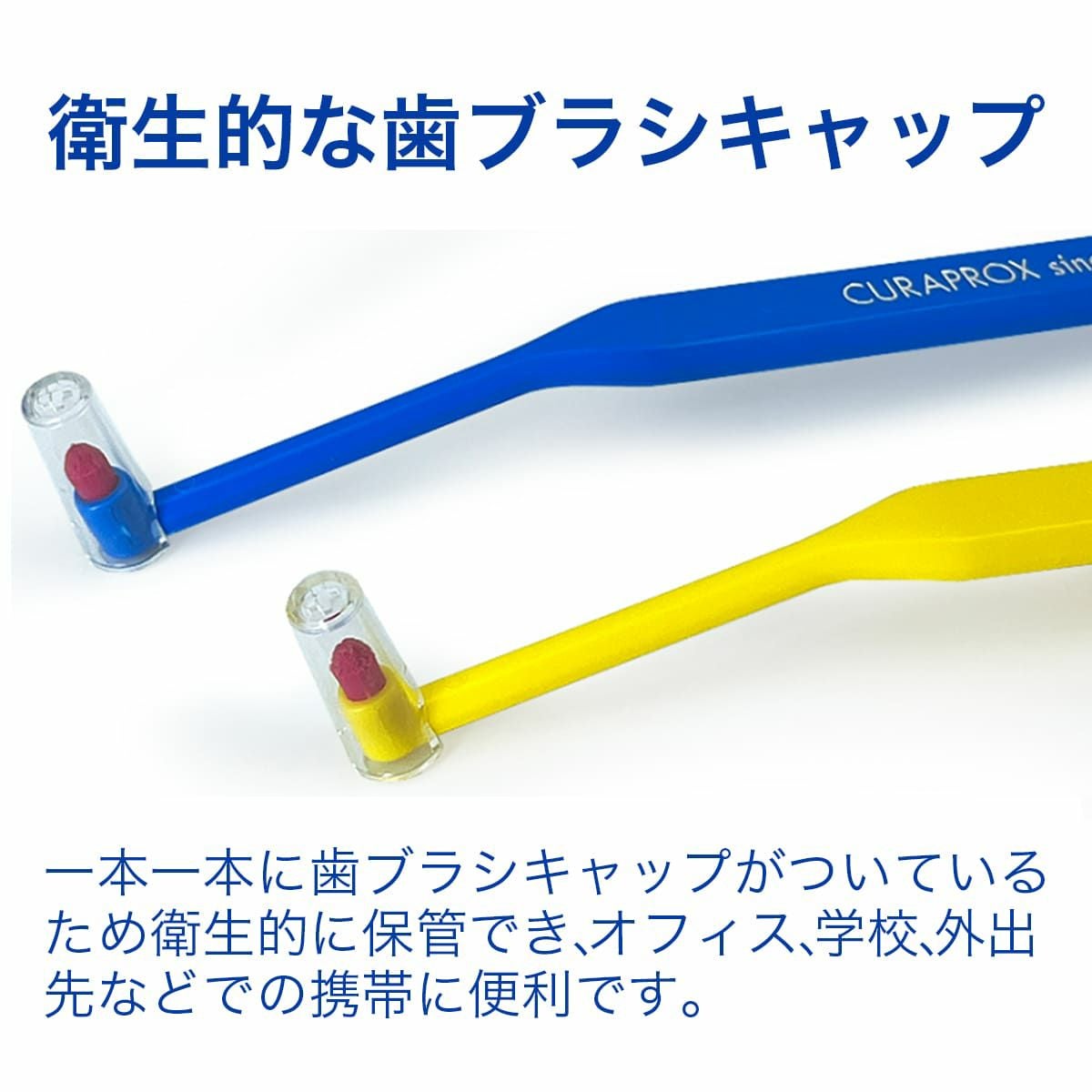 シングル歯ブラシ CS1006 1本 | クラプロックス オンラインショップ