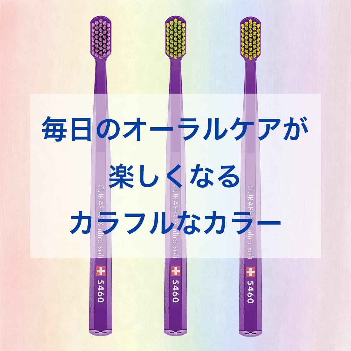 CS5460 ウルトラソフト ハンドルカラー紫 1本 | クラプロックス