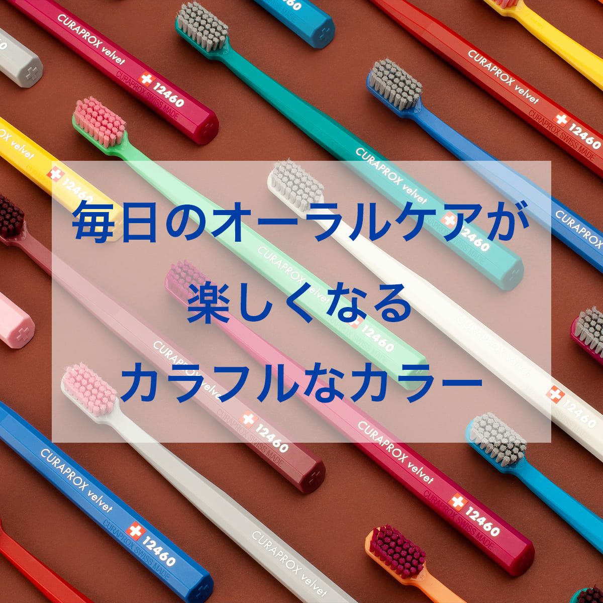 クラプロックス CS12460 ベルベット※色おまかせ 1本 | クラプロックス