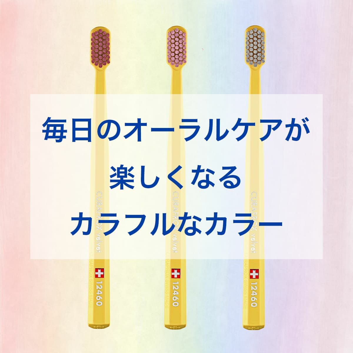 クラプロックス CS12460 ベルベット イエロー 1本 | クラプロックス