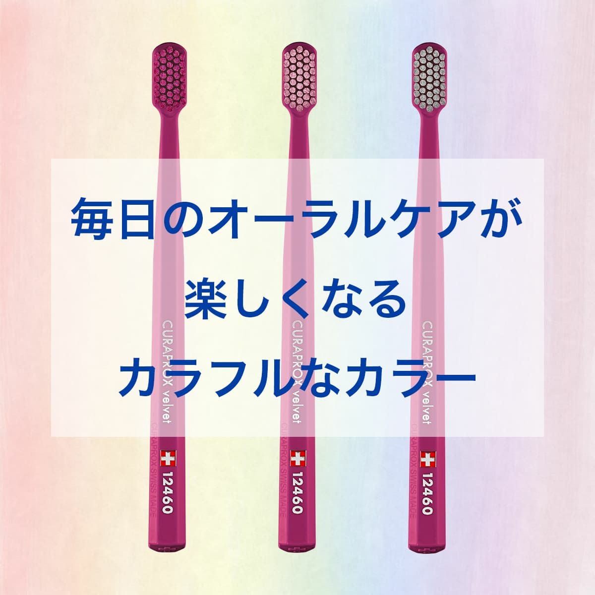 クラプロックス CS12460 ベルベット レッド 1本 | クラプロックス