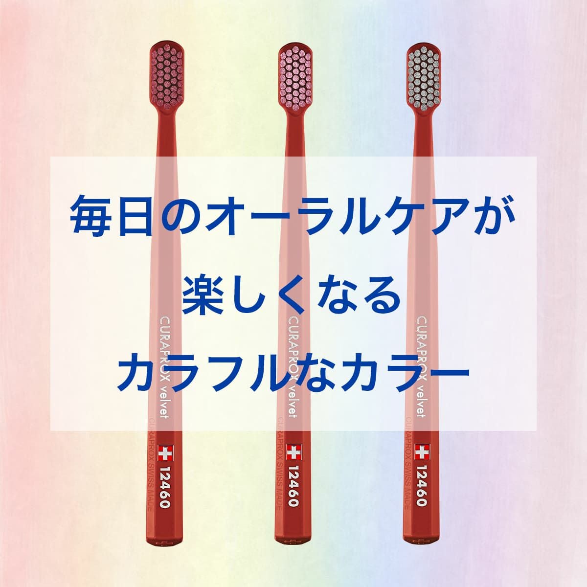 クラプロックス CS12460 ベルベット ブラウン 1本 | クラプロックス