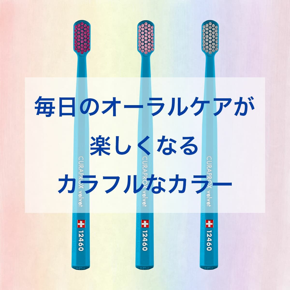 クラプロックス CS12460 ベルベット ブルー 1本 | クラプロックス