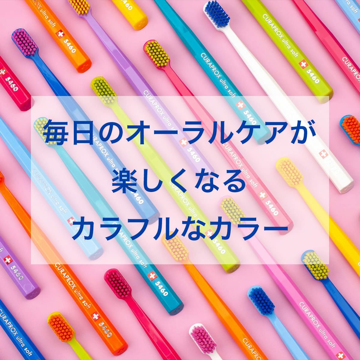 クラプロックスCS5460フォックス＆バニー エディション 2本セット