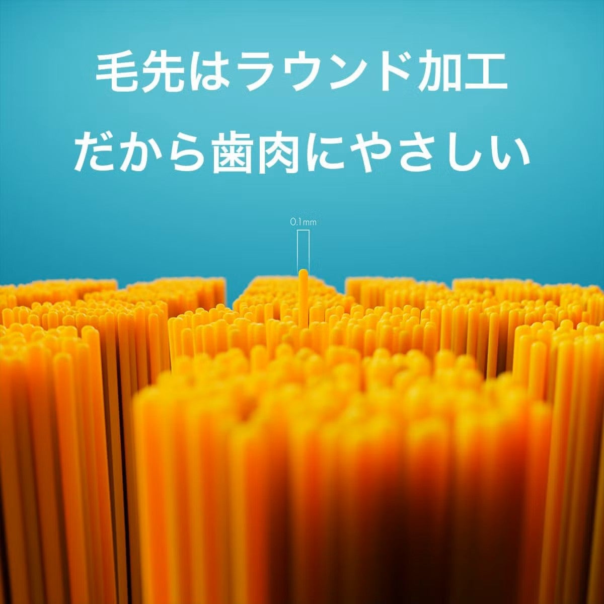 クラプロックス CS5460 キャプテン翼エディション | クラプロックス